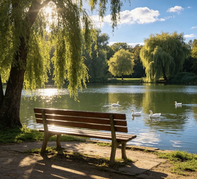 Life returns to calm